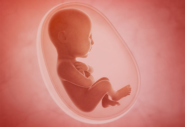 威而鋼是否會對胎兒造成影響？